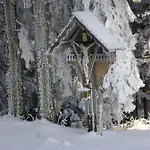 Apartment Haus Vollegg