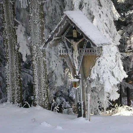 Apartamento Haus Vollegg